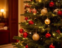 Когда убирать новогоднюю ёлку в 2026 году: советы астрологов