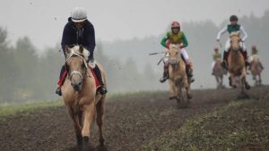 9 сентября в селе Новый Кырлай Арского района пройдет конно-спортивный  праздник День Коня