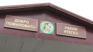 23 октября прошел школьный этап конкурса родительских комитетов «Секреты дружного класса»