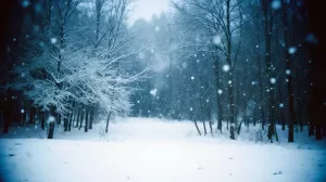 В Татарстане выпала рекордная норма осадков: коммунальные службы в работе