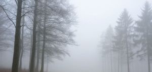 В Татарстане в понедельник ожидаются туман и гололедица