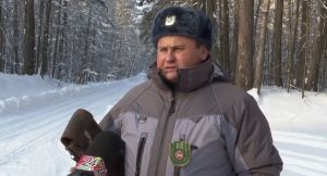 «Ну чего ты, глупая корова?»: истории из леса, рассказанные Александром Фоминым