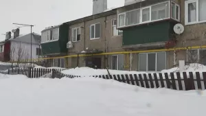 В селе Усады с приходом плюсовой температуры с крыш домов сошел снег