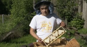 Пчеловод из Татарстана рассказал о сложностях производства меда