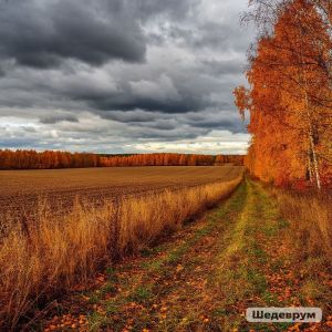 День Анны Скирдницы 10 сентября — традиции и приметы