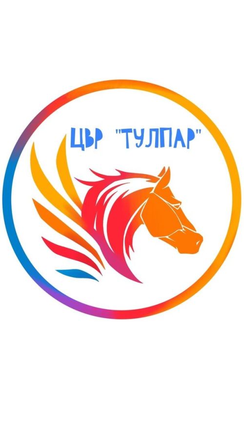 Биектау районының "Тулпар" мәктәптән тыш эш үзәге