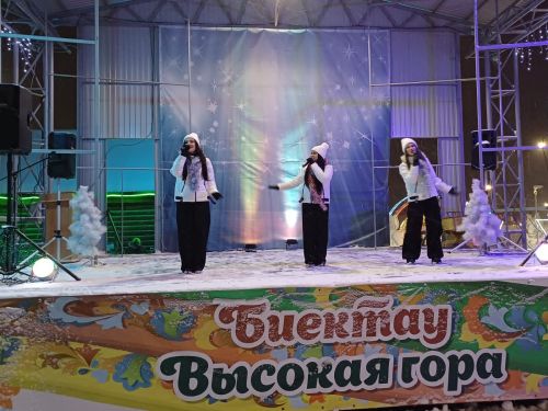 В Высокогорском районе открыли главную ёлку