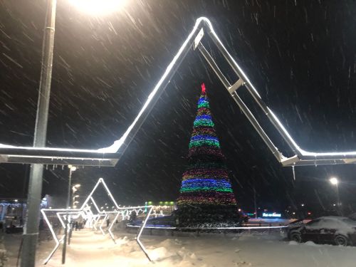 В Парке Заказанье открыли главную елку района