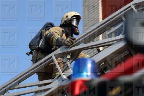 Начальник Главного управления МЧС России поздравил причастных с профессиональным праздником