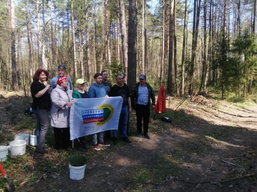 В районе присоединились к акции «Сад памяти»