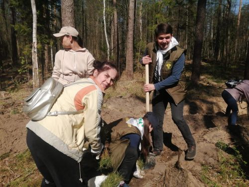В районе присоединились к акции «Сад памяти»