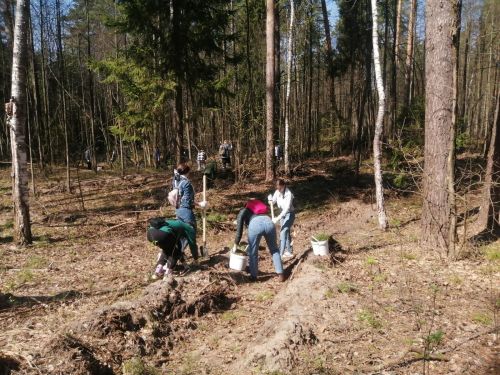 В районе присоединились к акции «Сад памяти»