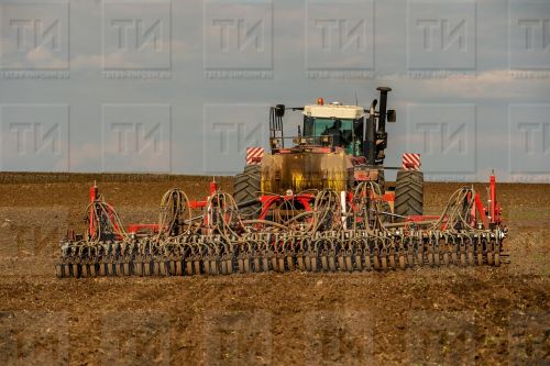 Россия собирается экспортировать 55-60 миллионов тонн зерна