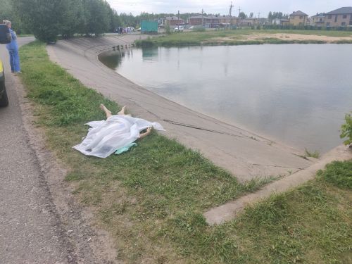 В Высокогорском районе утонул школьник