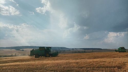 Новая зерновая сделка будет заключена при посредничестве Рустама Минниханова