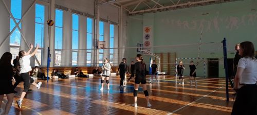 13 и 15 февраля прошли соревнования по волейболу «Школьная волейбольная лига»