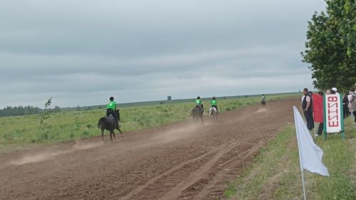 Начались конные скачки