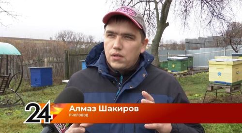 Пчелиная верность