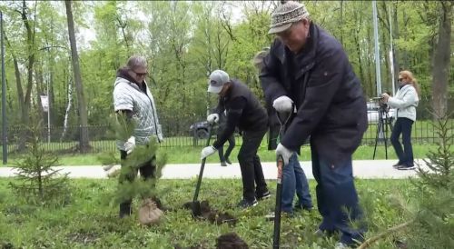 «Самое главное – делаем благородное дело»