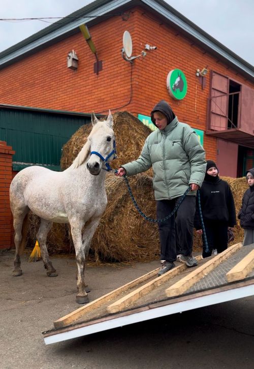 Высокогорцы примут участие в конных соревнованиях в Казахстане