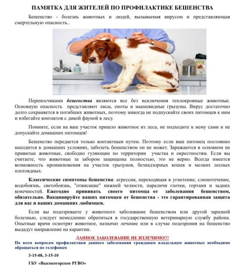 Важные меры профилактики бешенства