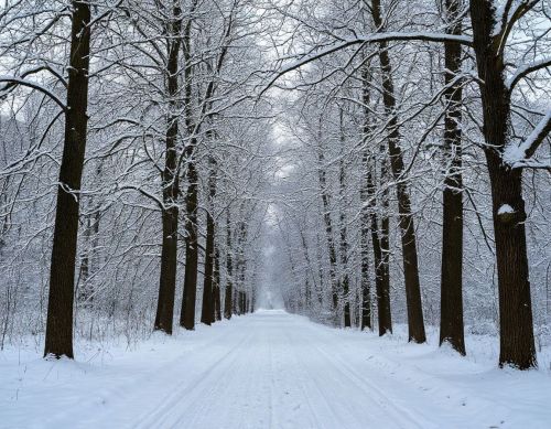 В Татарстане 16 января ожидаются морозы до –27°: предупреждение МЧС
