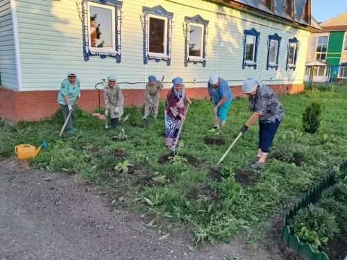 В Большебитаманском поселении выбирают лучшее ветеранское подворье