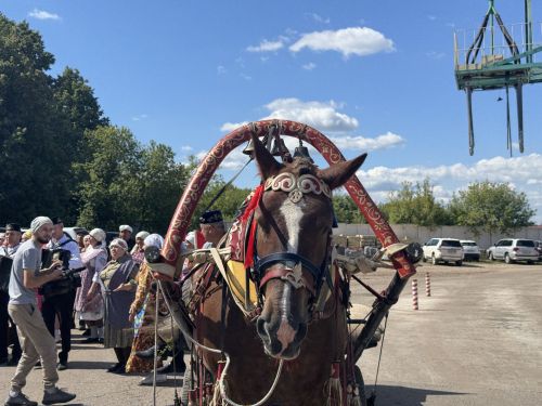 «Красный обоз» с зерном нового урожая отправился на элеватор