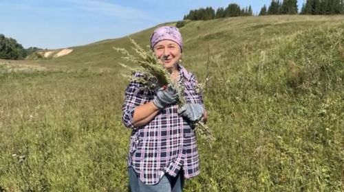 Полынь пахнет летом