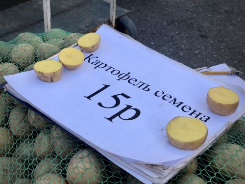 Ярмарка ко Дню пожилых в селе Высокая Гора. 01.10.2023
