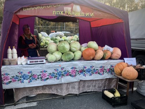Ярмарка ко Дню пожилых в селе Высокая Гора. 01.10.2023