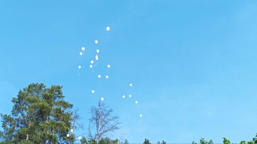 Последний звонок в ВСОШ №2. 23.05.2023