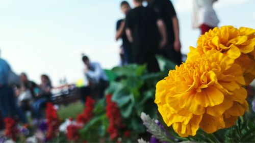 День защиты детей в парке "Заказанье". 1 июня 2023