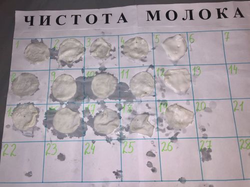 Х районный конкурс среди мастеров машинного доения. 23.06.2023