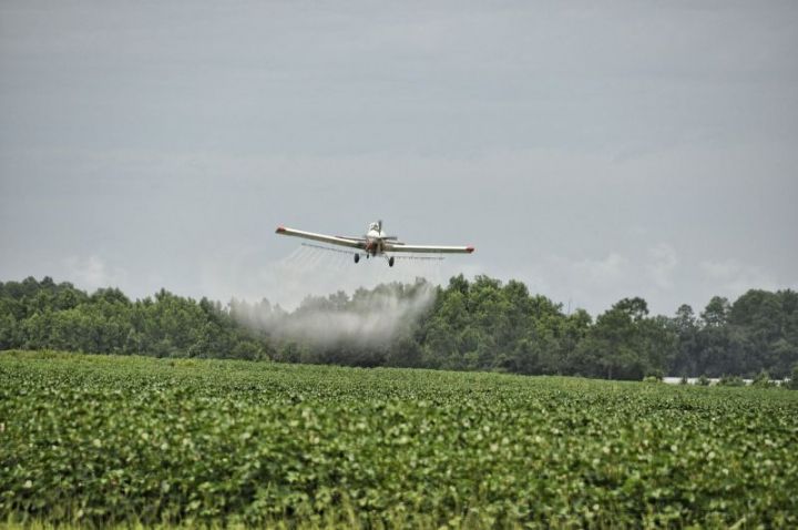 Применение пестицидов строго регламентировано