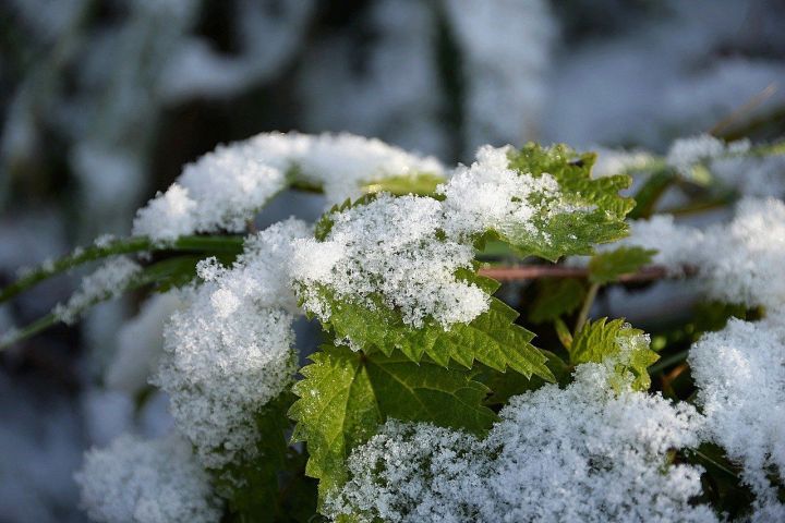 Стало известно, когда в Татарстане пойдет первый снег