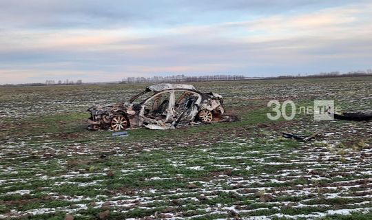 Сгоревший «БМВ» и тело водителя рядом нашли в поле в Татарстане