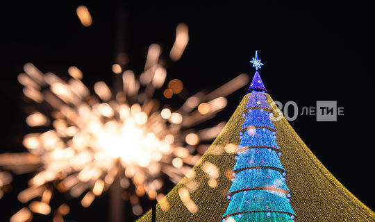 В Татарстане объявили 31 декабря этого года выходным днем
