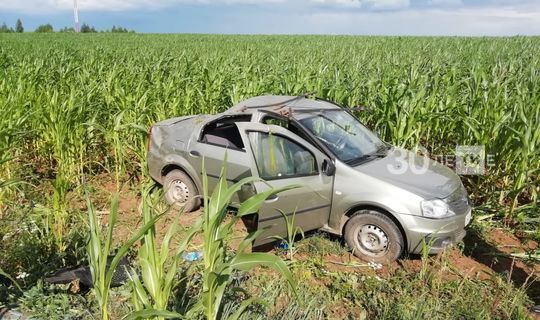 Автоледи вылетела в кукурузное поле, уходя от столкновения с другим авто в РТ