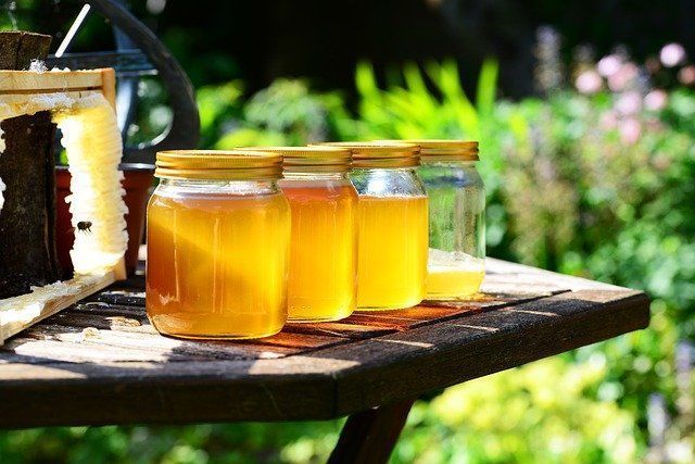 Липовый, гречишный или цветочный: какой мед самый вредный