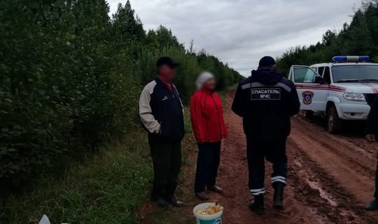 Три часа искали в лесу троих грибников татарстанские спасатели