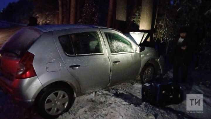 Мужчина и двое детей пострадали, въехав на авто в дерево в Татарстане