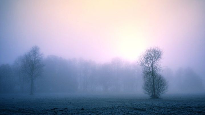 Ночью и утром 14 апреля на территории Республики Татарстан местами ожидается туман