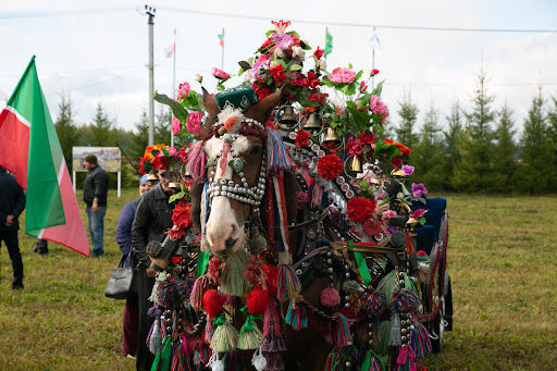 В Арском районе состоится конно-спортивный праздник «День коня»
