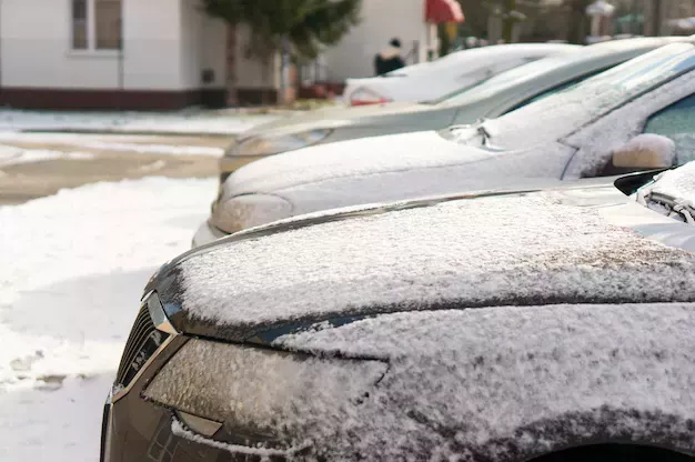 Эксперт дал советы водителям на случай снежного заноса
