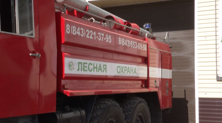 В Татарстане начинается работа лесопожарных служб