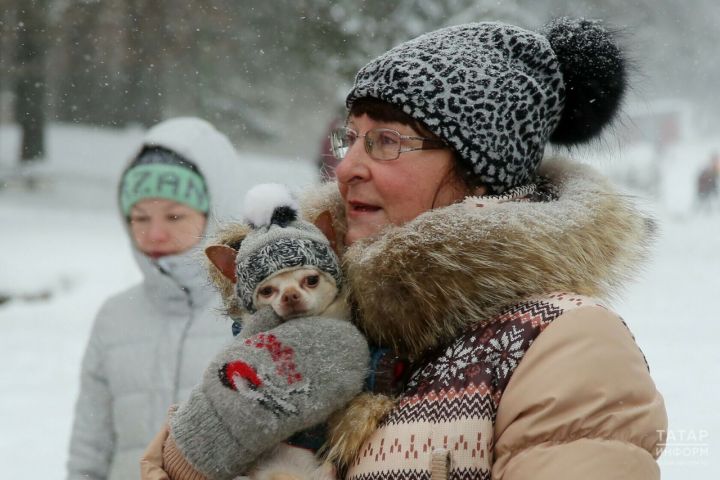 Январь в Татарстане выдастся более снежным, чем обычно