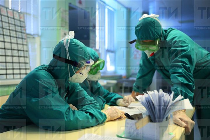 Роспотребнадзор РТ: «Случаев заболеваний птичьим гриппом в республике нет, но опасения всегда были»