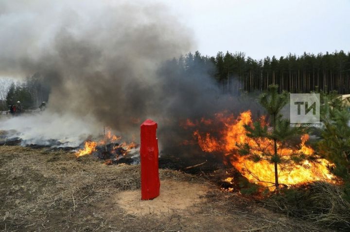В Республике Татарстан объявят пожароопасный период