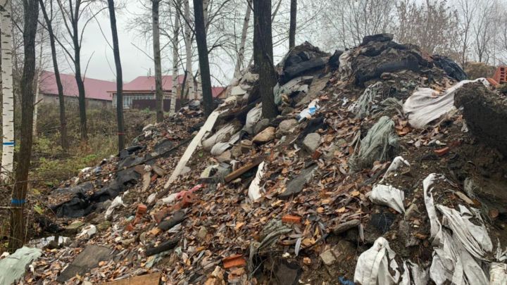 Суд обязал нарушителя выплатить более 6 млн рублей за ущерб, причинённый природе